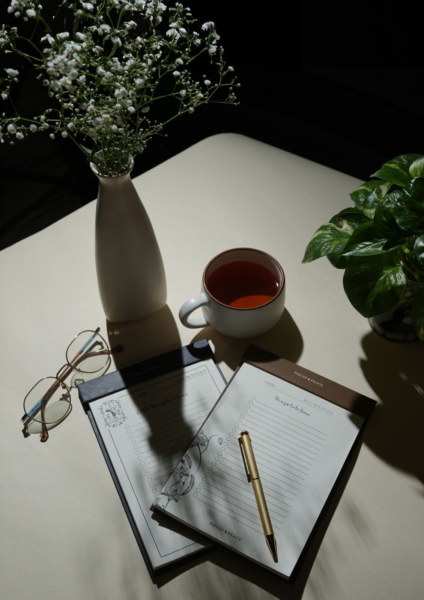 To Do List Diary Online & 2025 daily planner